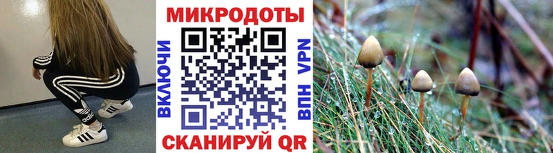 Галлюциногенные грибы GOLDEN TEACHER Иннополис